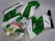 Honda CBR 1000 RR 04-05 Motorrad Verkleidungen - Grün Weiß Honda CBR 1000 RR 04-05 Motorrad Verkleidungen - Grün Weiß