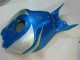 Honda CBR 1000 RR 06-07 Motorrad Verkleidungen - Blau Silber Honda CBR 1000 RR 06-07 Motorrad Verkleidungen - Blau Silber