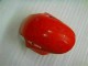 Honda CBR 1000 RR 08-11 Motorrad Verkleidung - Rot Silber