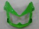 Kawasaki EX650 06-08 Motorrad Verkleidung - Grün Kawasaki EX650 06-08 Motorrad Verkleidung - Grün