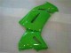Kawasaki EX650 06-08 Motorrad Verkleidung - Grün Kawasaki EX650 06-08 Motorrad Verkleidung - Grün
