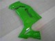 Kawasaki EX650 06-08 Motorrad Verkleidung - Grün Kawasaki EX650 06-08 Motorrad Verkleidung - Grün
