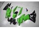 Kawasaki EX650 09-11 Motorrad Verkleidungen - Grün Schwarz Kawasaki EX650 09-11 Motorrad Verkleidungen - Grün Schwarz