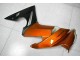 Kawasaki EX650 09-11 Motorrad Verkleidungen - Orange Kawasaki EX650 09-11 Motorrad Verkleidungen - Orange