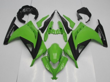 Kawasaki ZX 300R 13-16 Motorrad Verkleidungen - OEM Stil Grün