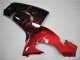 Kawasaki ZX10R 06-07 Motorrad Verkleidungen - Rot Flamme Kawasaki ZX10R 06-07 Motorrad Verkleidungen - Rot Flamme