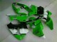 Kawasaki ZX6R 00-02 Motor Verkleidungen - Grün Schwarz Kawasaki ZX6R 00-02 Motor Verkleidungen - Grün Schwarz