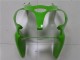 Kawasaki ZX6R 00-02 Motorrad Verkleidungen - Grün Kawasaki ZX6R 00-02 Motorrad Verkleidungen - Grün