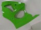 Kawasaki ZX6R 00-02 Motorrad Verkleidungen - Grün Kawasaki ZX6R 00-02 Motorrad Verkleidungen - Grün