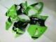 Kawasaki ZX6R 00-02 Motorrad Vollverkleidung - Grün Schwarz Kawasaki ZX6R 00-02 Motorrad Vollverkleidung - Grün Schwarz
