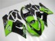 Kawasaki ZX6R 05-06 Motorrad Verkleidungen - Grün Kawasaki ZX6R 05-06 Motorrad Verkleidungen - Grün