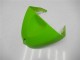 Kawasaki ZX6R 05-06 Motorrad Verkleidungen - Grün Kawasaki ZX6R 05-06 Motorrad Verkleidungen - Grün