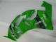 Kawasaki ZX6R 09-12 Motorrad Verkleidungen - Grün Schwarzer LeoVince Kawasaki ZX6R 09-12 Motorrad Verkleidungen - Grün Schwarzer LeoVince