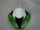 Kawasaki ZX6R 09-12 Motorrad Verkleidungen - Grün Schwarzer LeoVince Kawasaki ZX6R 09-12 Motorrad Verkleidungen - Grün Schwarzer LeoVince