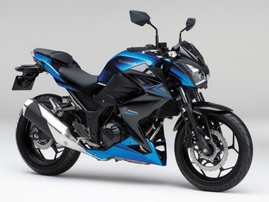 Großhandel Kawasaki Z250/Z300 Motorrad Verkleidung 2015-2016 - Blau Matt Schwarz