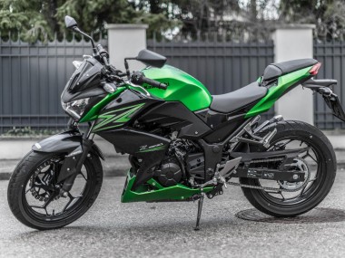 Großhandel Kawasaki Z250/Z300 Motorrad Verkleidung Kit 2015-2016 - Grun Matt Schwarz