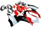 Großhandel Ducati Panigale V2 Motorrad Verkleidung Kit 2020-2024 - Weiss Rot Glanzendes Schwarz