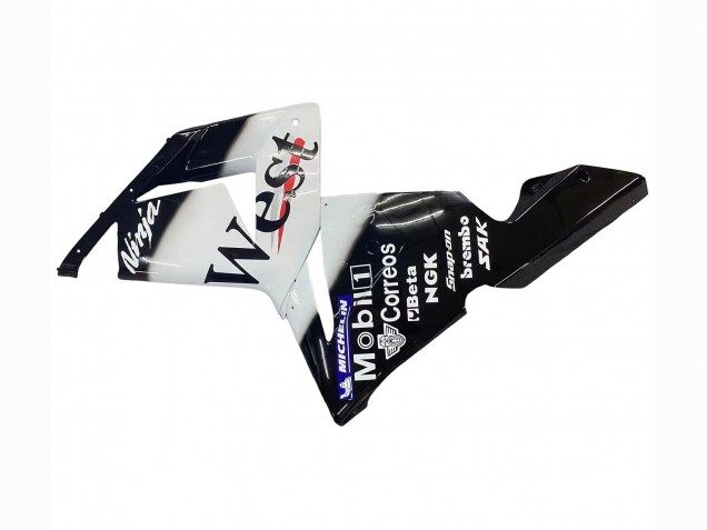 Großhandel Kawasaki ZX10R Motorrad Verkleidung 2004-2005 - Weiss Schwarz West Ninja