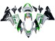 Großhandel Kawasaki ZX10R Motorrad Verkleidung 2004-2005 - Grun Silber Schwarz 69