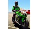 Großhandel Kawasaki ZX10R Motorrad Verkleidung 2011-2015 - Grun Gelb Weiss Schwarz Rot Pirelli