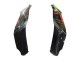 Großhandel Kawasaki ZX10R Motorrad Verkleidung 2021-2025 - Grun Schwarz Rot