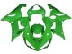 Großhandel Kawasaki ZX6R Motorrad Verkleidung 2005-2006 - Grun