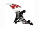 Großhandel Yamaha YZF 1000 R1 Motorrad Verkleidung 2002-2003 - Weiss Rot Schwarz Castrol