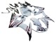 Großhandel Yamaha YZF R6S Motorrad Verkleidung 2006-2009 - Weiss mit Dunkel Schwarz Flamme