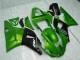 Yamaha R1 00-01 Motorrad Verkleidungen - Grün Yamaha R1 00-01 Motorrad Verkleidungen - Grün