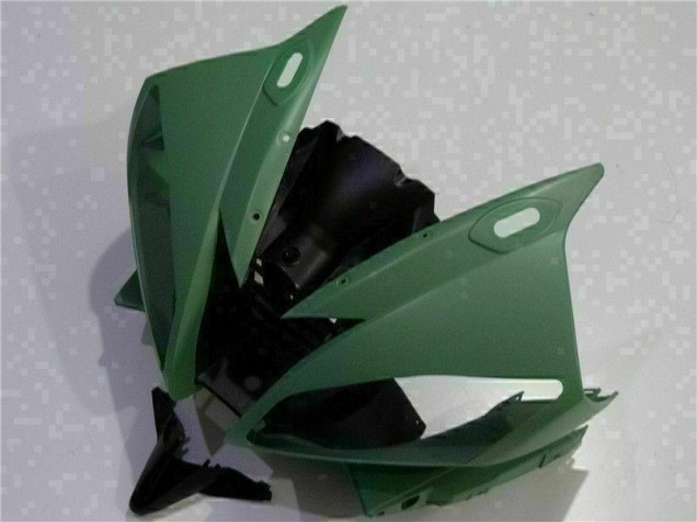 Yamaha R6 06-07 Motorrad Verkleidungen - Grün